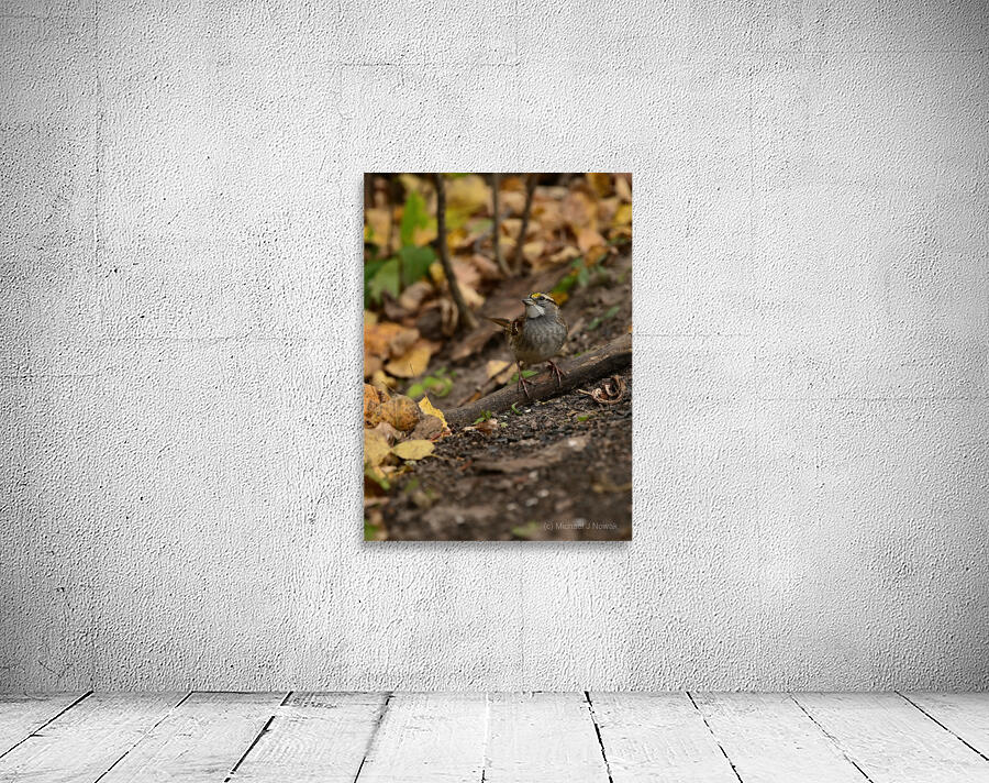 Daydreaming  Wall Preview