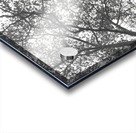 NYC Variations_2 Acrylic print