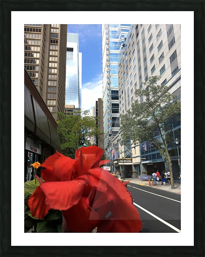 Red In Phlly Picture Frame print
