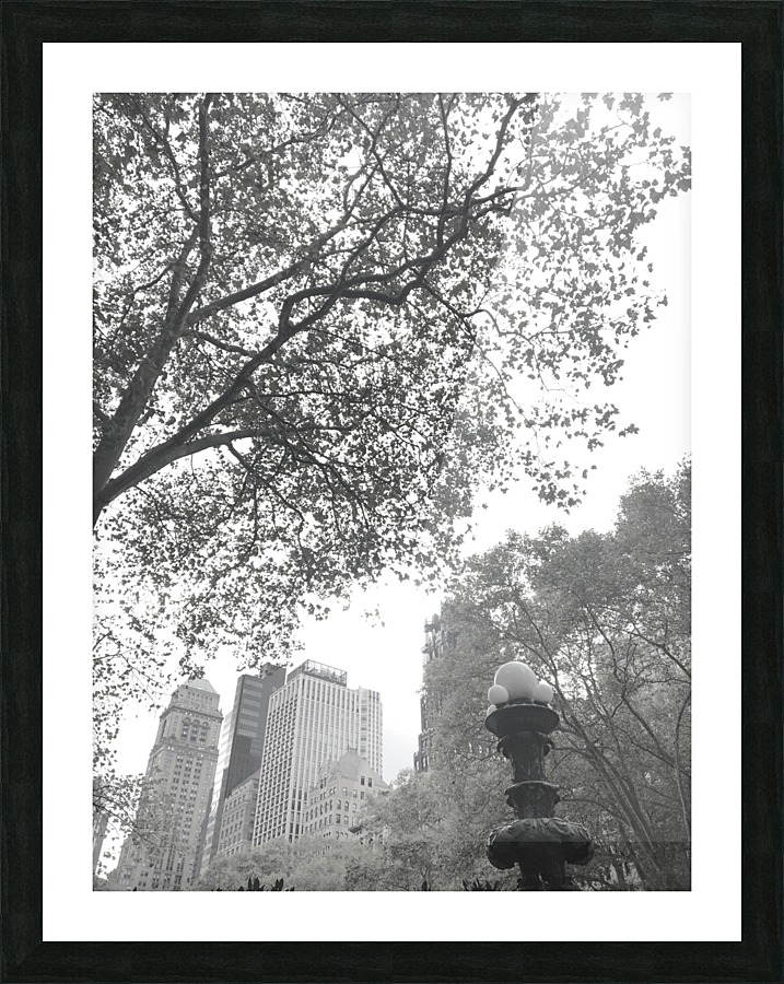 NYC Variations_2 Picture Frame print
