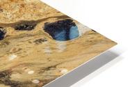 Terra_04 HD Metal print