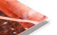 Meet the Orange HD Metal print