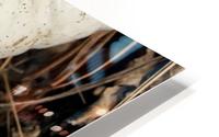 bottle HD Metal print