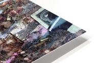 Fluorescent Roi HD Metal print