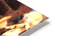 Turner HD Metal print