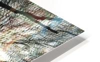 Branches HD Metal print