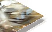 Flowers  HD Metal print