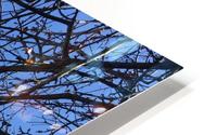 After Easter In NJ HD Metal print