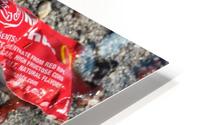 High Fructose_2 HD Metal print