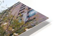 GO HD Metal print