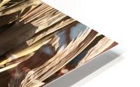 Maiz HD Metal print