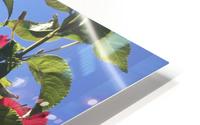 Primavera_2 HD Metal print