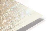 The switch HD Metal print