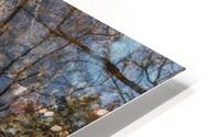 Winding River Ice HD Metal print