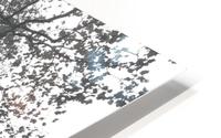 NYC Variations_2 HD Metal print