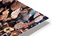 Too Many Nails_2 HD Metal print