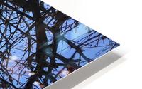 After Easter in NJ_2 HD Metal print