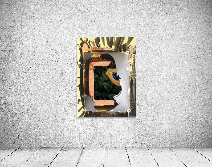 Papaya Wall Preview