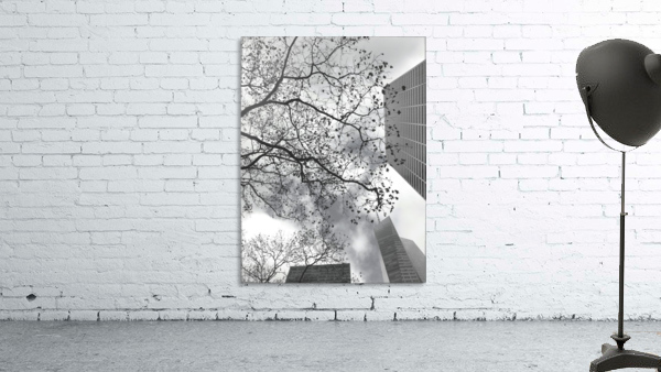 NYC Placement Wall Preview