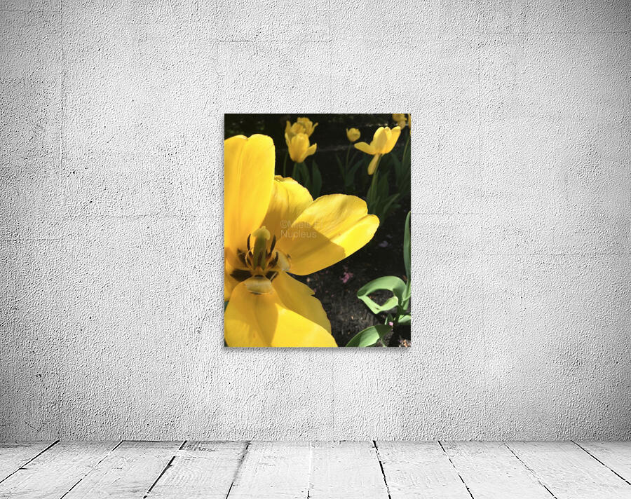 Summer Wall Preview