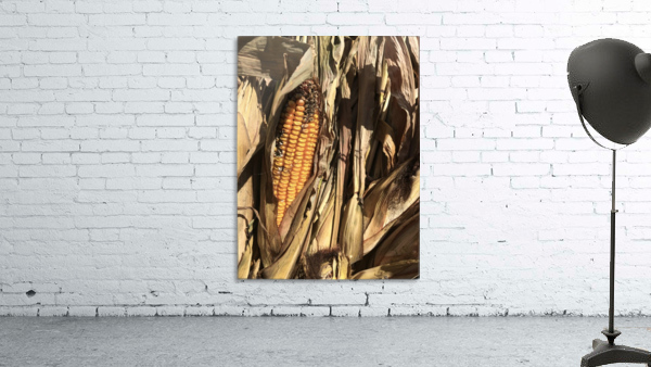 Maiz Wall Preview