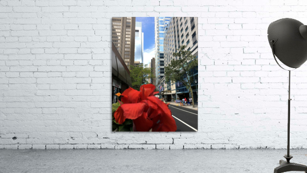 Red In Phlly Wall Preview