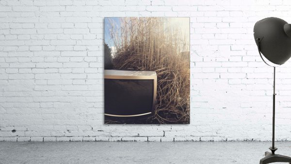 The switch Wall Preview