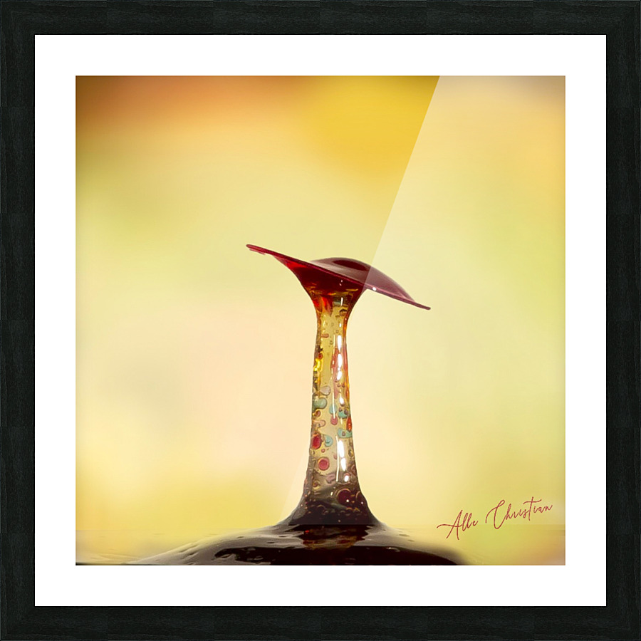  MG 2275 2 Picture Frame print