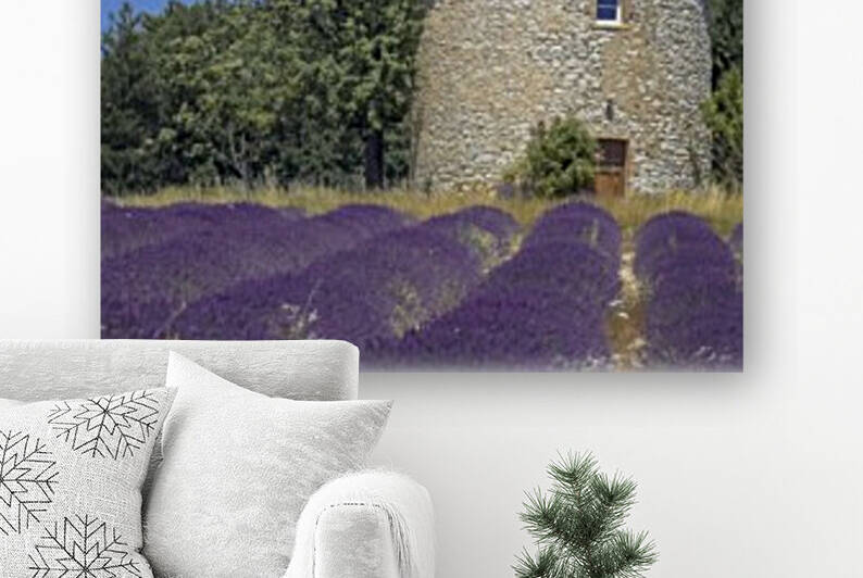 Provence lavande moulin by Alle Christian
