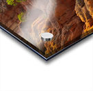 Little Pine Trees Growing on the Valley Cliffs Acrylic print