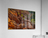 Little Pine Trees Growing on the Valley Cliffs Acrylic Print