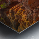 Little Pine Trees Growing on the Valley Cliffs Metal print