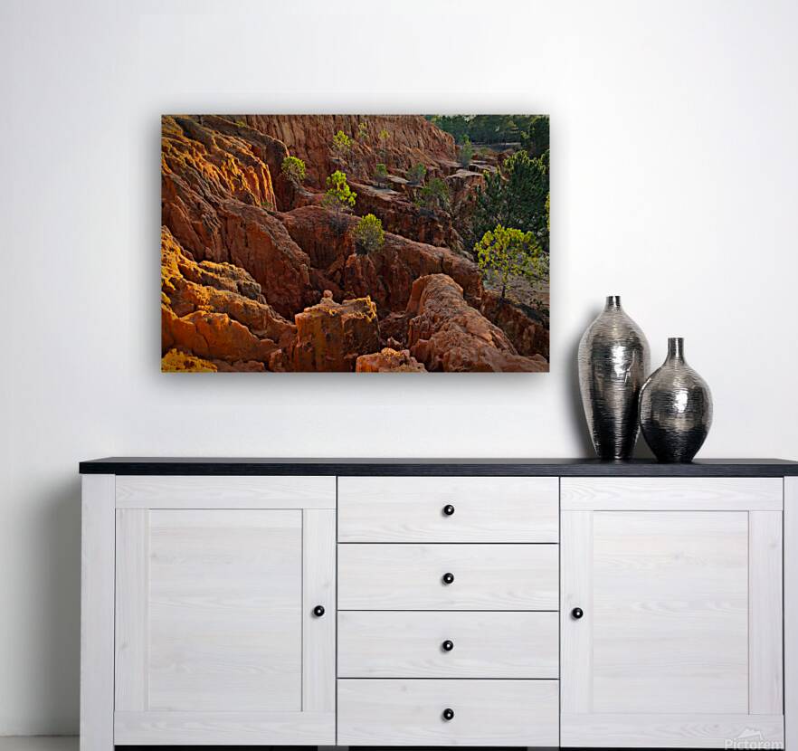 Little Pine Trees Growing on the Valley Cliffs Reproduction