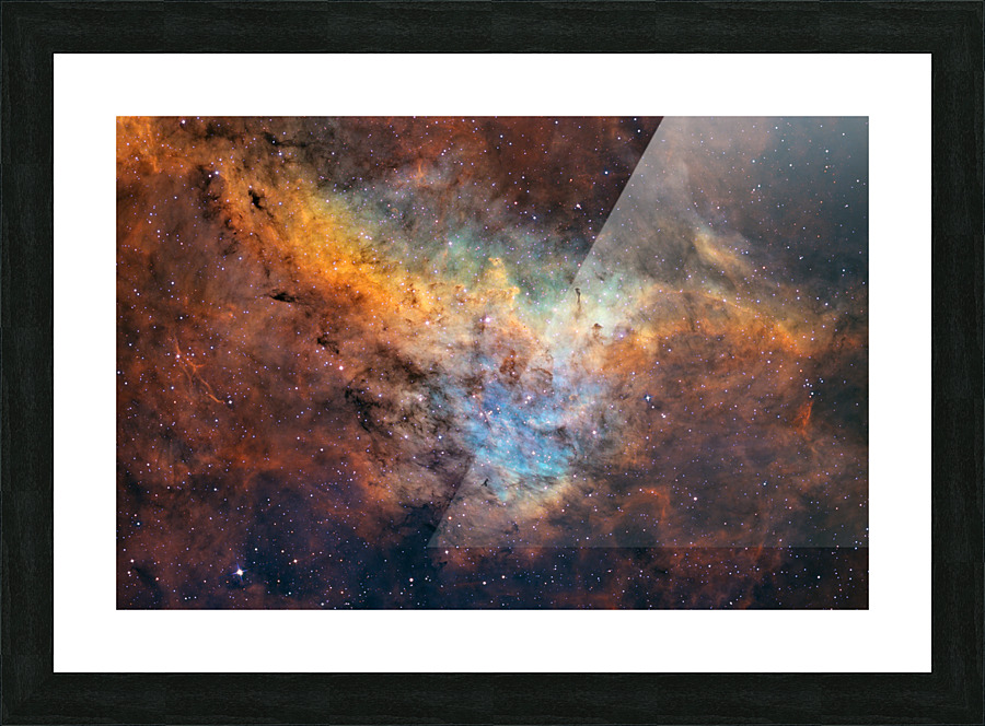The Longhorn Picture Frame Printing