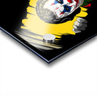 Peak a Boo  Acrylic print