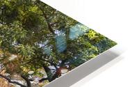 Skytree Garden HD Metal print