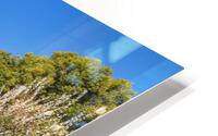 Kameido Skytree HD Metal print