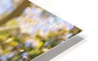 Sakura Jizo HD Metal print