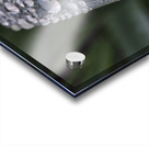 RAIN DROPS Acrylic print