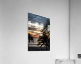 Florida-Early Riser Acrylic Print