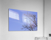 MORNING MOON Acrylic Print