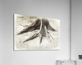 TREES-Octopus Roots Acrylic Print