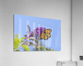 CHANGING PLACES DSC 3657 Acrylic Print