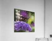 INTOXICATING  PF03239 Acrylic Print