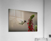 HANDSONE DUDE Acrylic Print