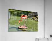 LONER Acrylic Print