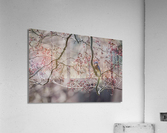 NEST SCOUTING  PF02438 Acrylic Print