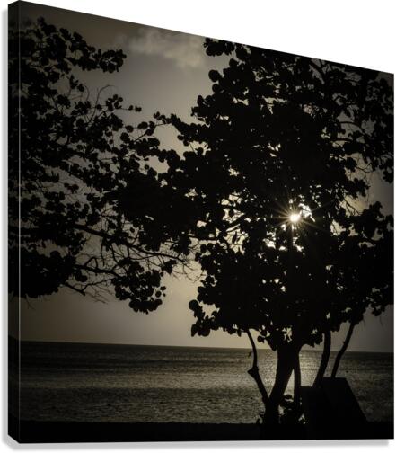 SUNBURST PF0 7006 Edit Edit Canvas Print