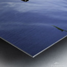 RESTING PF0 9335 Metal print