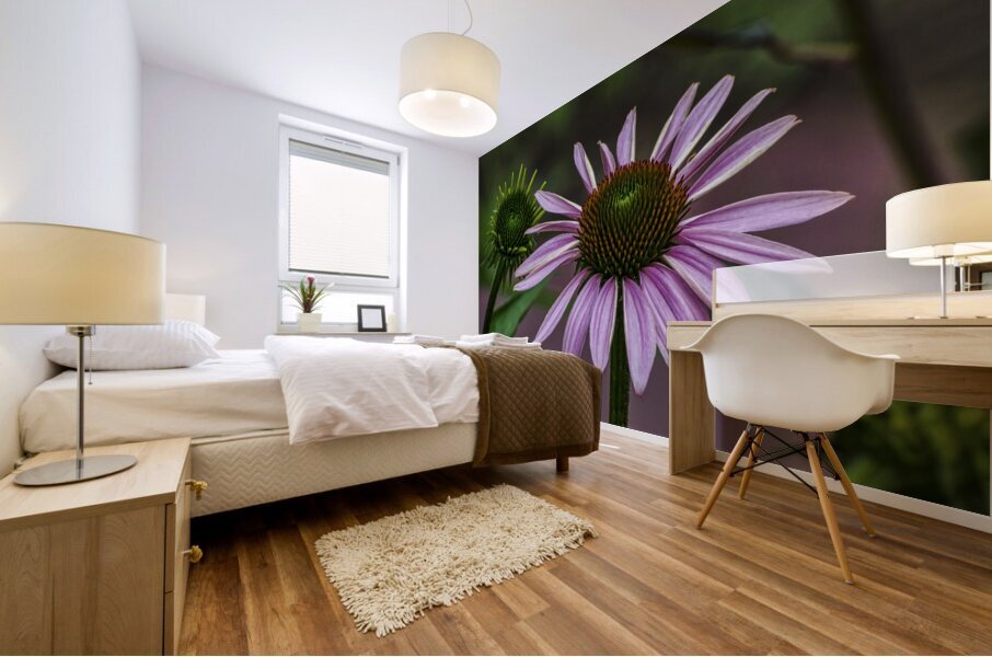 CONEFLOWER 14 Mural print